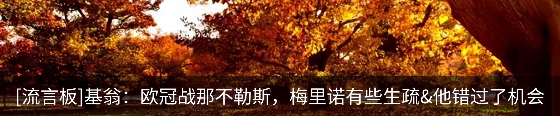 内页banner